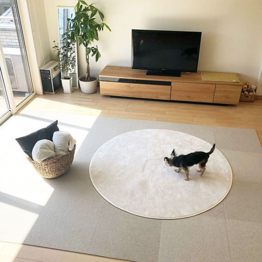 断舍离不够彻底,断舍离东西越来越少