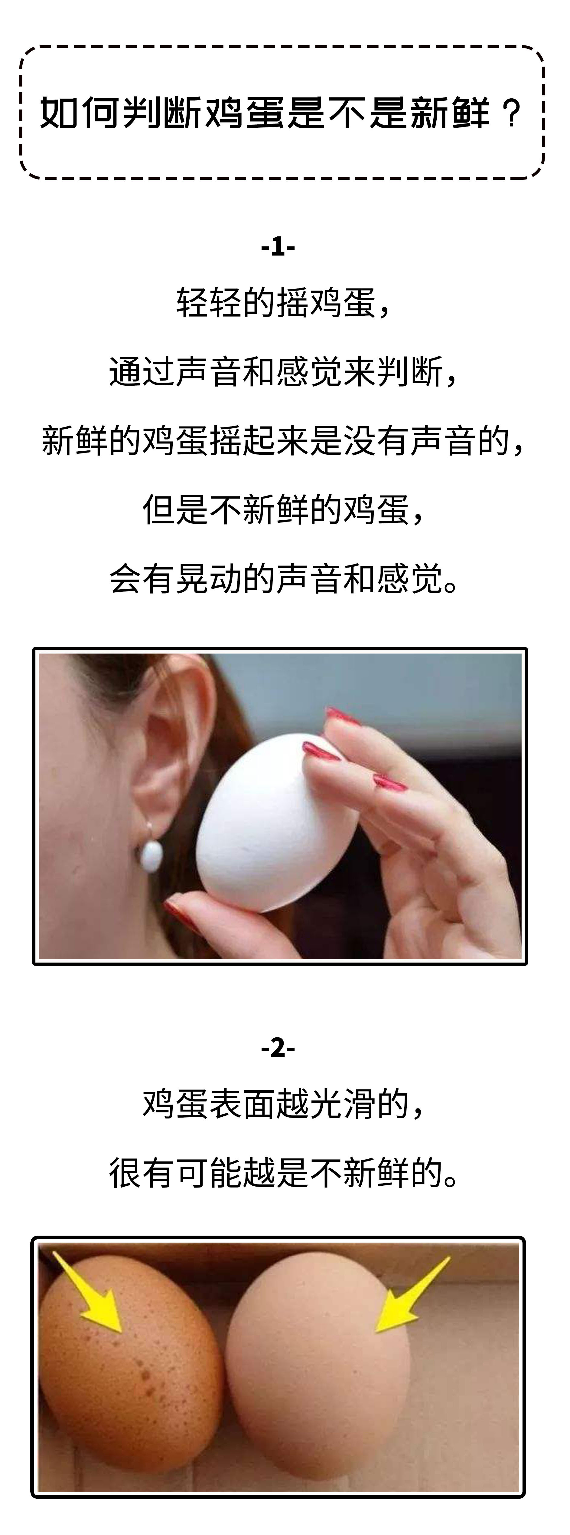 高价格，假广告，毒饲料，如何避免吃到不靠谱的鸡蛋（菲李漫画）