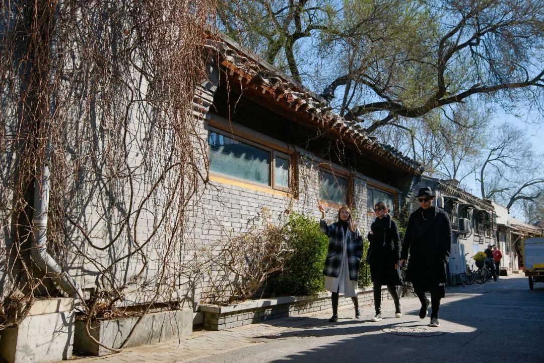 北京姑娘在西藏开民宿,北京姑娘在云南开民宿