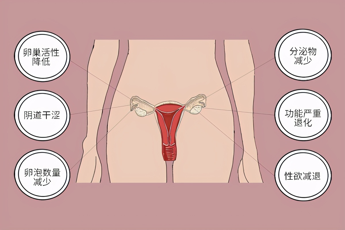 每次来月经,胸部会有阵痛感,是怎么回事?和乳腺癌有关?