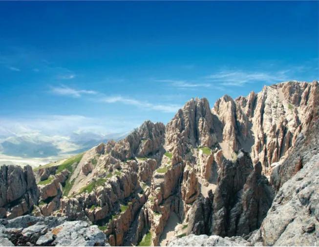 净土天峻高原牧场图片,净土天峻