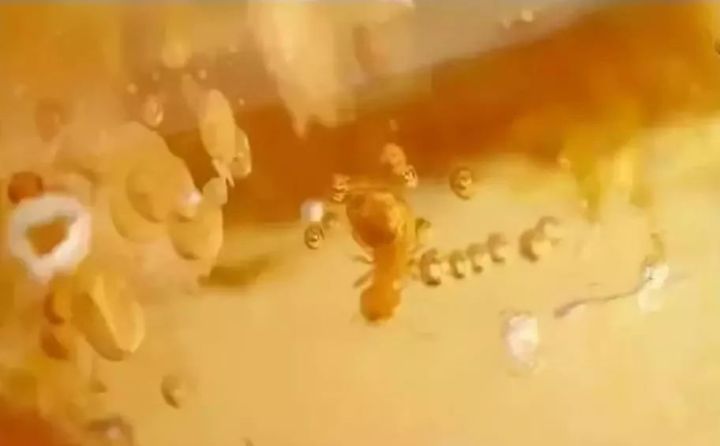 蜜蜡小知识学会少吃亏,蜜蜡初学者基础知识