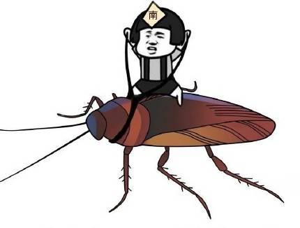南方蟑螂和北方蟑螂对比恶搞,南方大蟑螂吓哭北方人