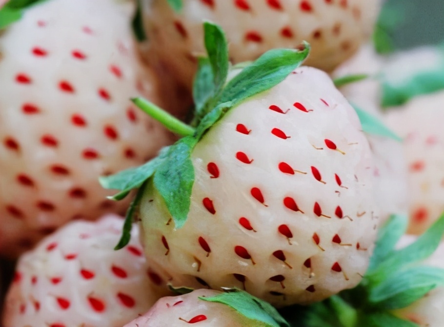 10大奇异水果你吃过几种,这五种奇葩罕见的水果你吃过几种