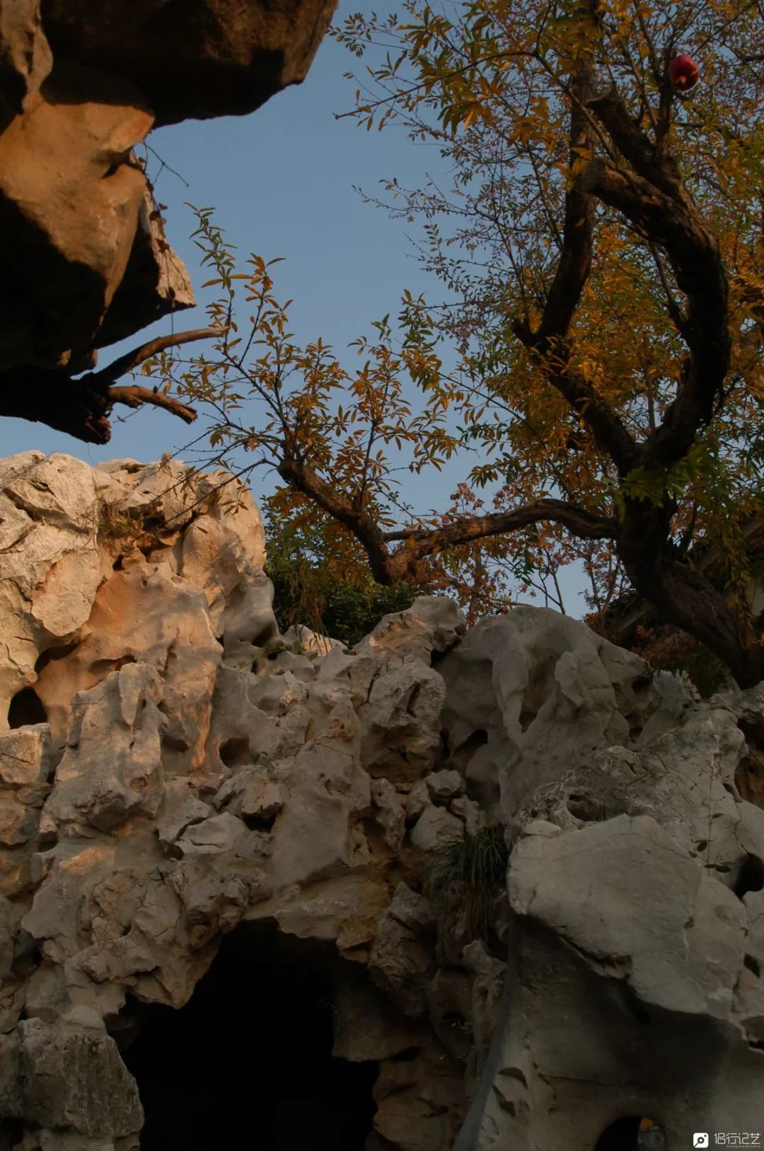 大叔花700万建的花园别墅,太湖石苏州