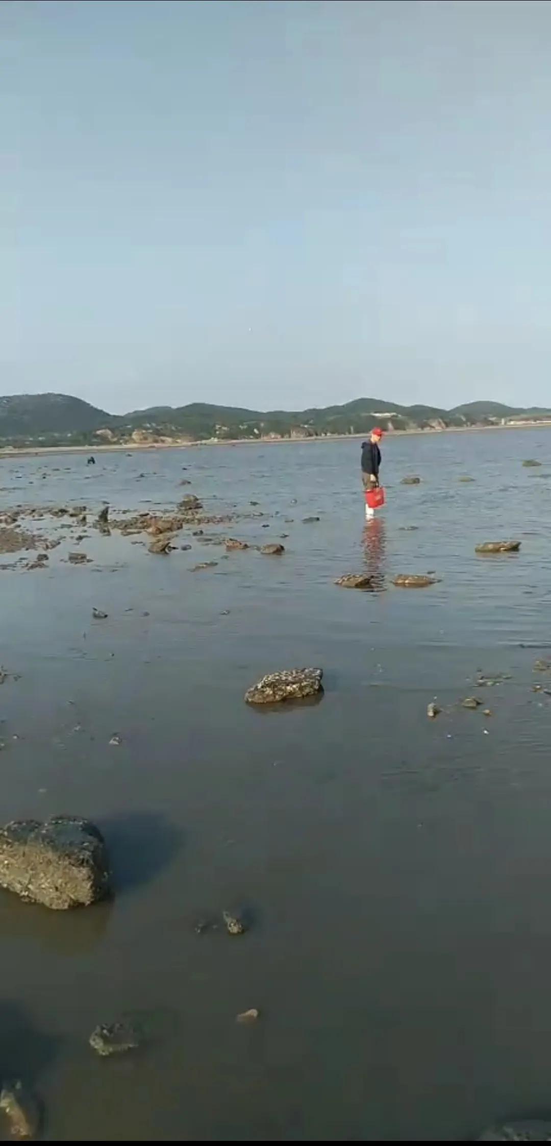 庄河黑岛赶海地点,庄河黑岛赶海潮汐表