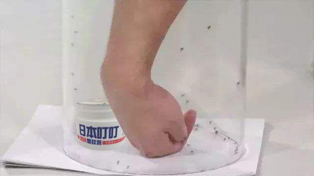 耳朵里面有蚊子嗡嗡响怎么解决,晚上睡觉蚊子嗡嗡响一招解决