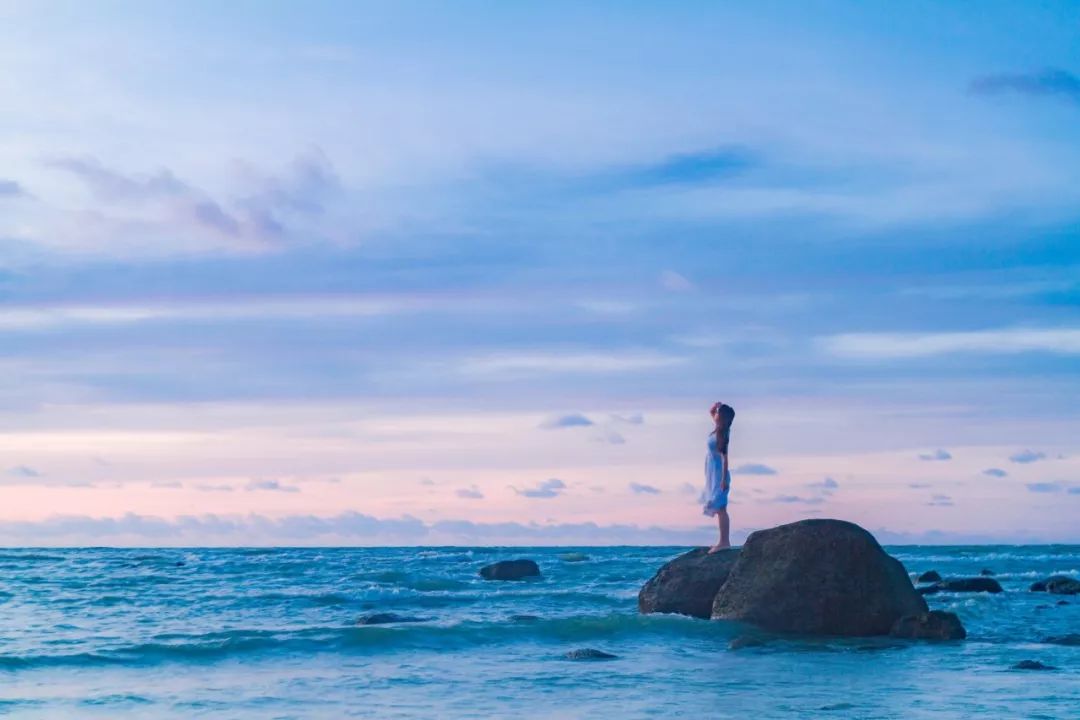 用一句诗词总结你的2020，你会用哪一句？