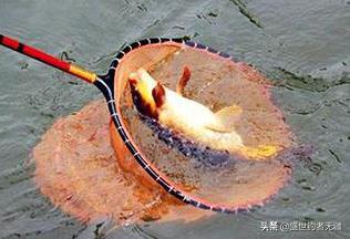 现在这季节钓鱼用什么线组更合适,春季钓鱼线组推荐