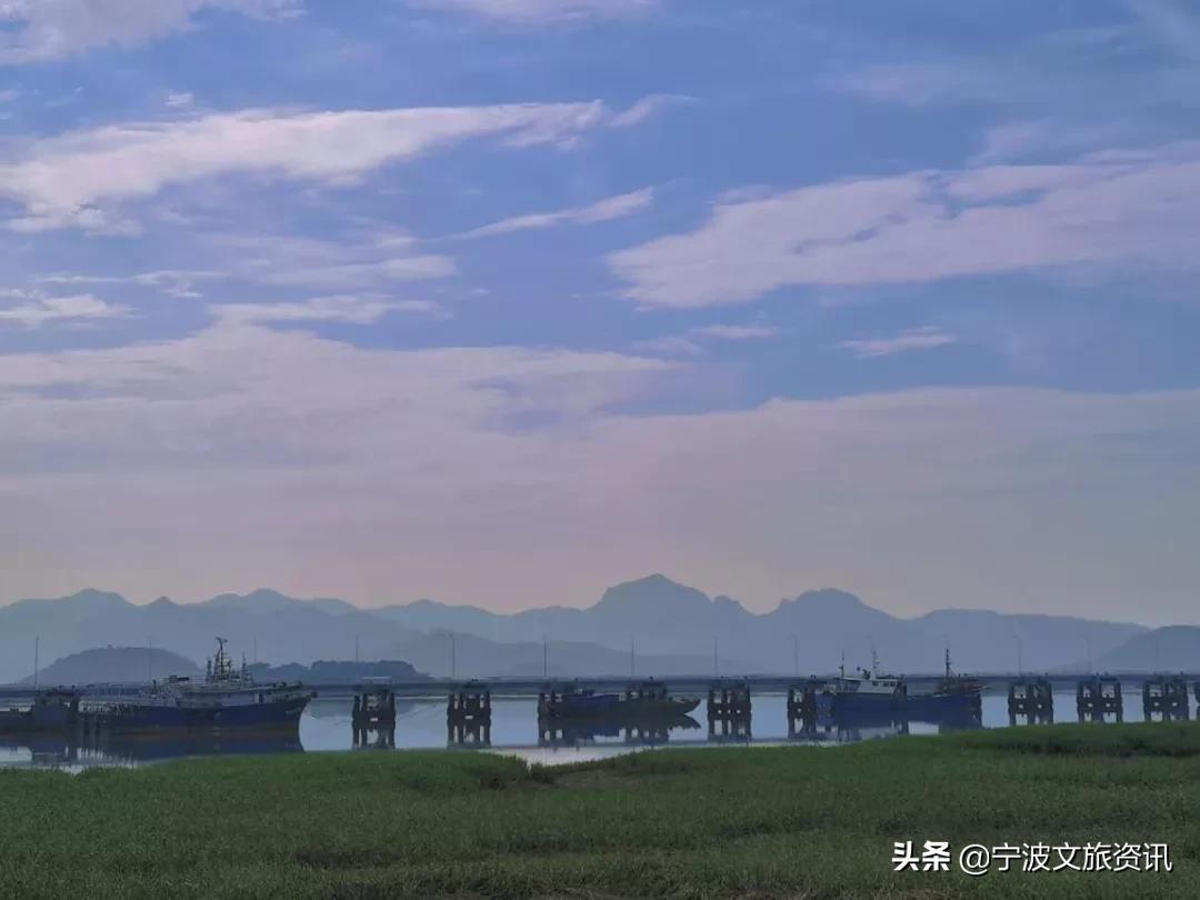 新桥玩的地方,新桥有哪些可以游玩的地点