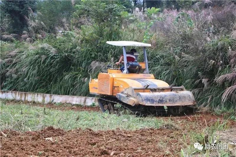贵州助农团团最新视频,助农团团直播带货
