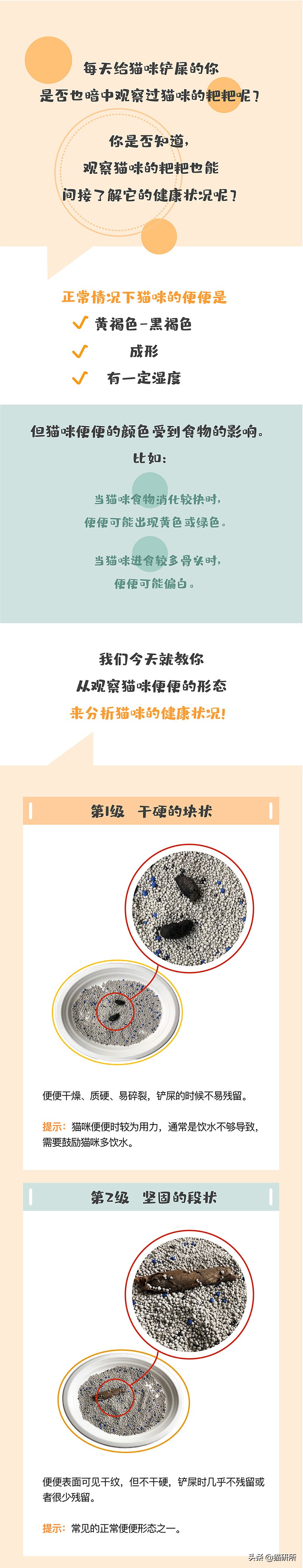 一张图学会判断猫咪拉稀严重程度,一张图学会判断猫咪呕吐