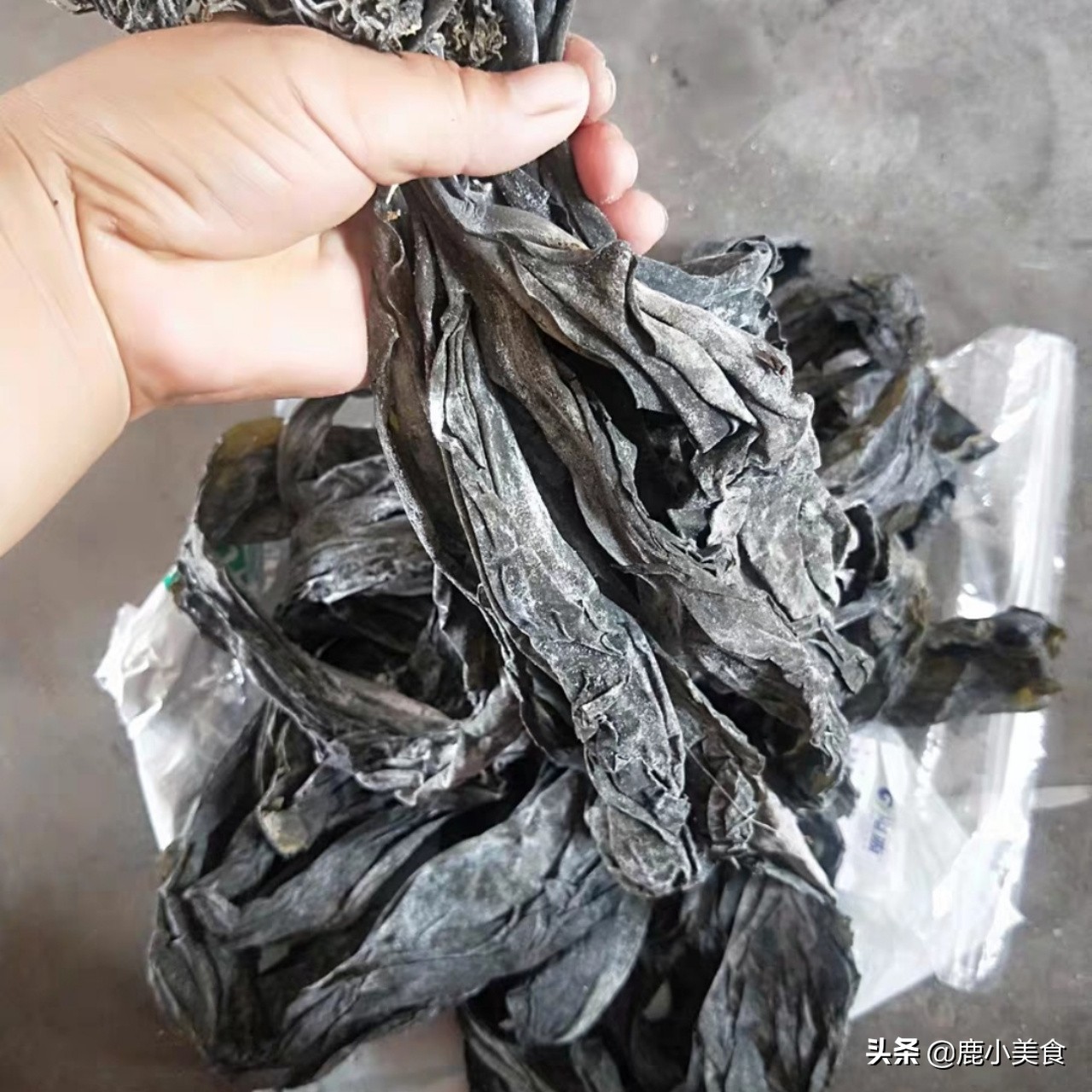 大米有虫子了怎样驱虫,放一年大米不会生虫的小妙招