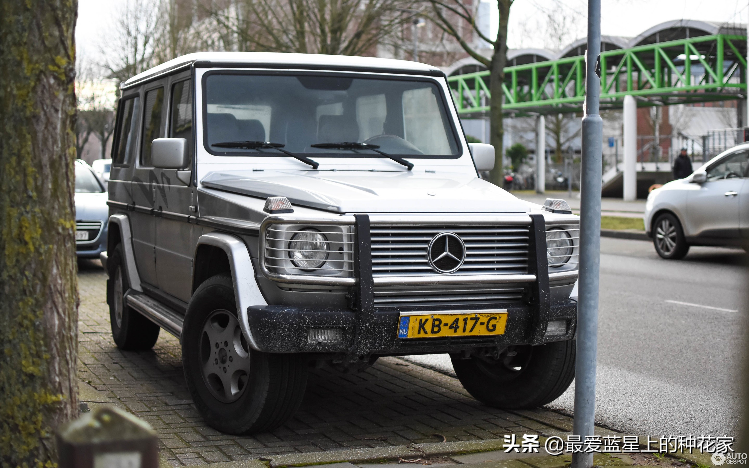 奔驰大g1994老款,奔驰大g有几款车型和价格