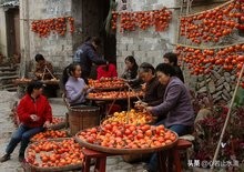 立秋是秋天的第1个节气,立秋秋季的第一个节气