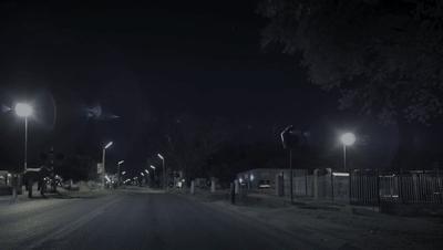 夜半*拍偷**下,成就今年第一部神级纪录片:黑暗下的生命,超乎想象