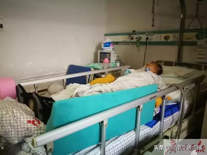 女子被天降大狗砸瘫痪获赔超百万,女子被大狗砸瘫获赔