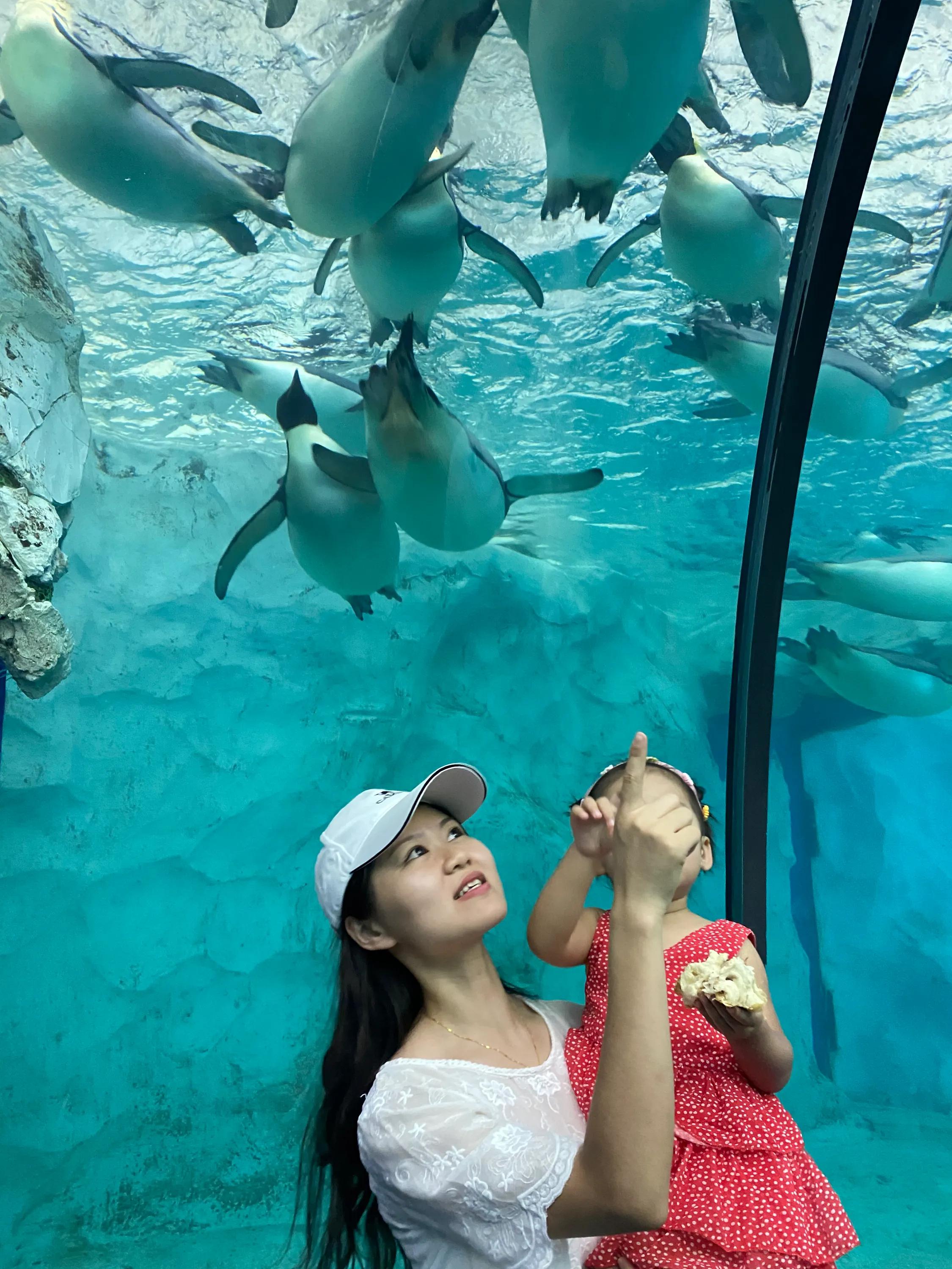 超详细珠海长隆海洋王国攻略,珠海长隆海洋王国攻略最新图片