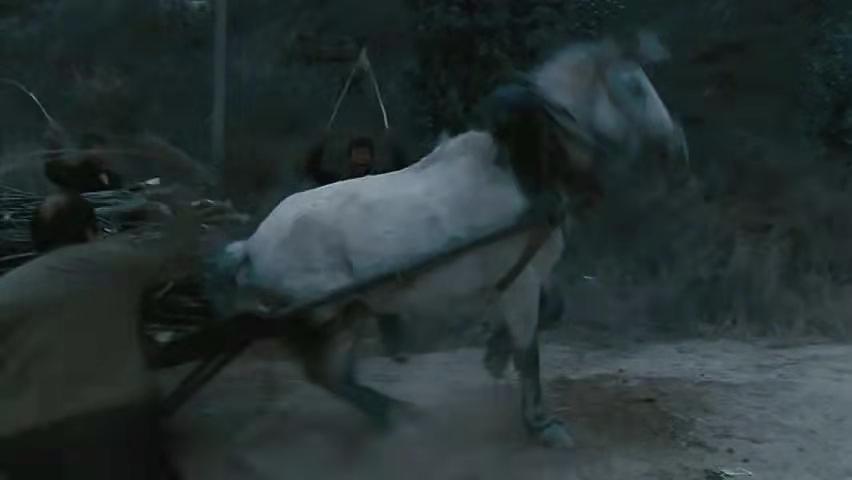 女警察与罪犯的爱情电影,关于女警察与死刑犯的电影