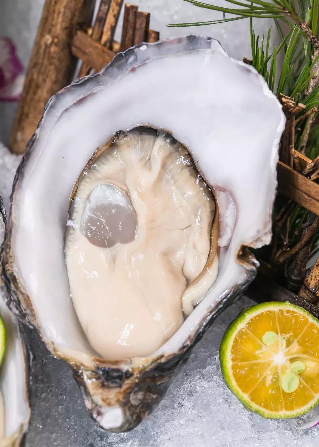 藏在虹口这家超奢「割烹料理」，竟还有米其林一星背景！