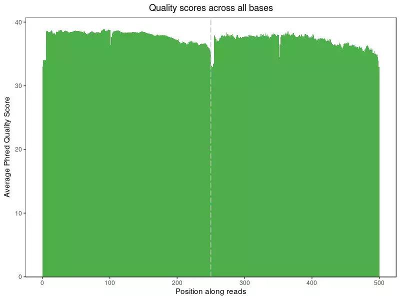 肠道菌群16s检测挂什么科,肠道菌群测序数据分析