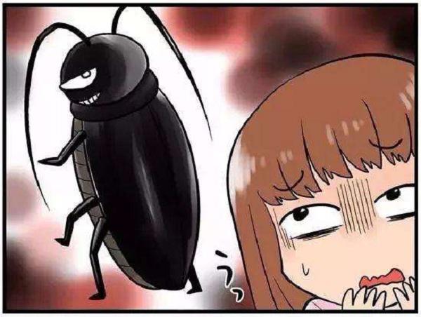 怎样才能把家里的蟑螂一锅端,家里有蟑螂怎么一锅端了