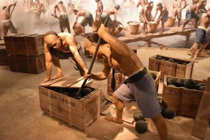 6.26国际禁毒日工作总结,6.26国际禁毒日央视纪录片