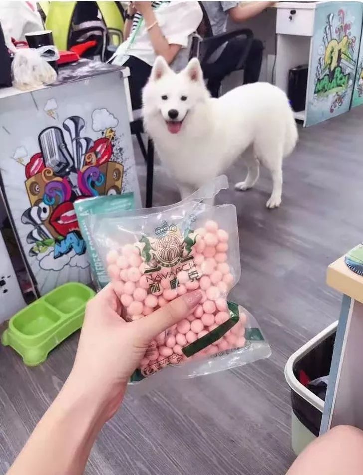 开宠物食品店创业,70后老板开店