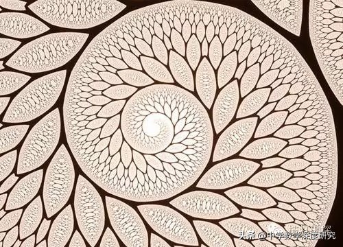 数学的极致之美,数学的美到底是怎样的