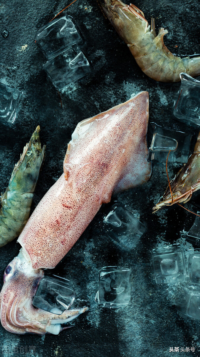 关于动物的42个有趣事实,动物有哪些小知识