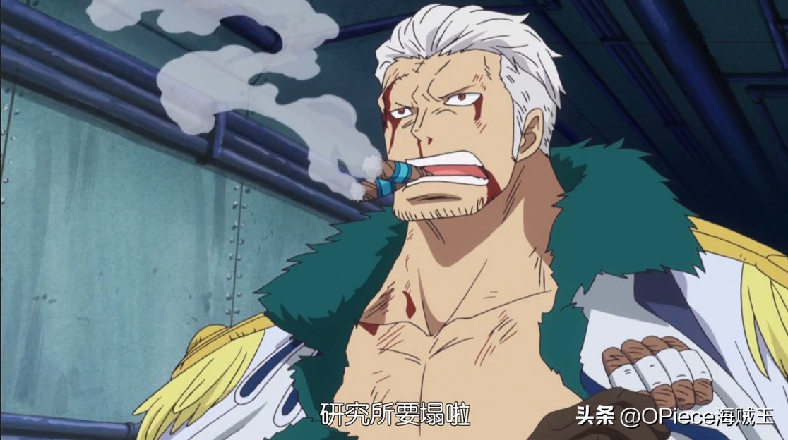 海贼王中的自然恶魔果实,并非全都强大,其中几种被使用者埋没