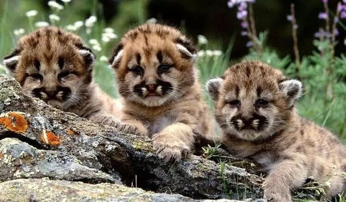 这一份公交交通指南，带你玩转上海各大景点