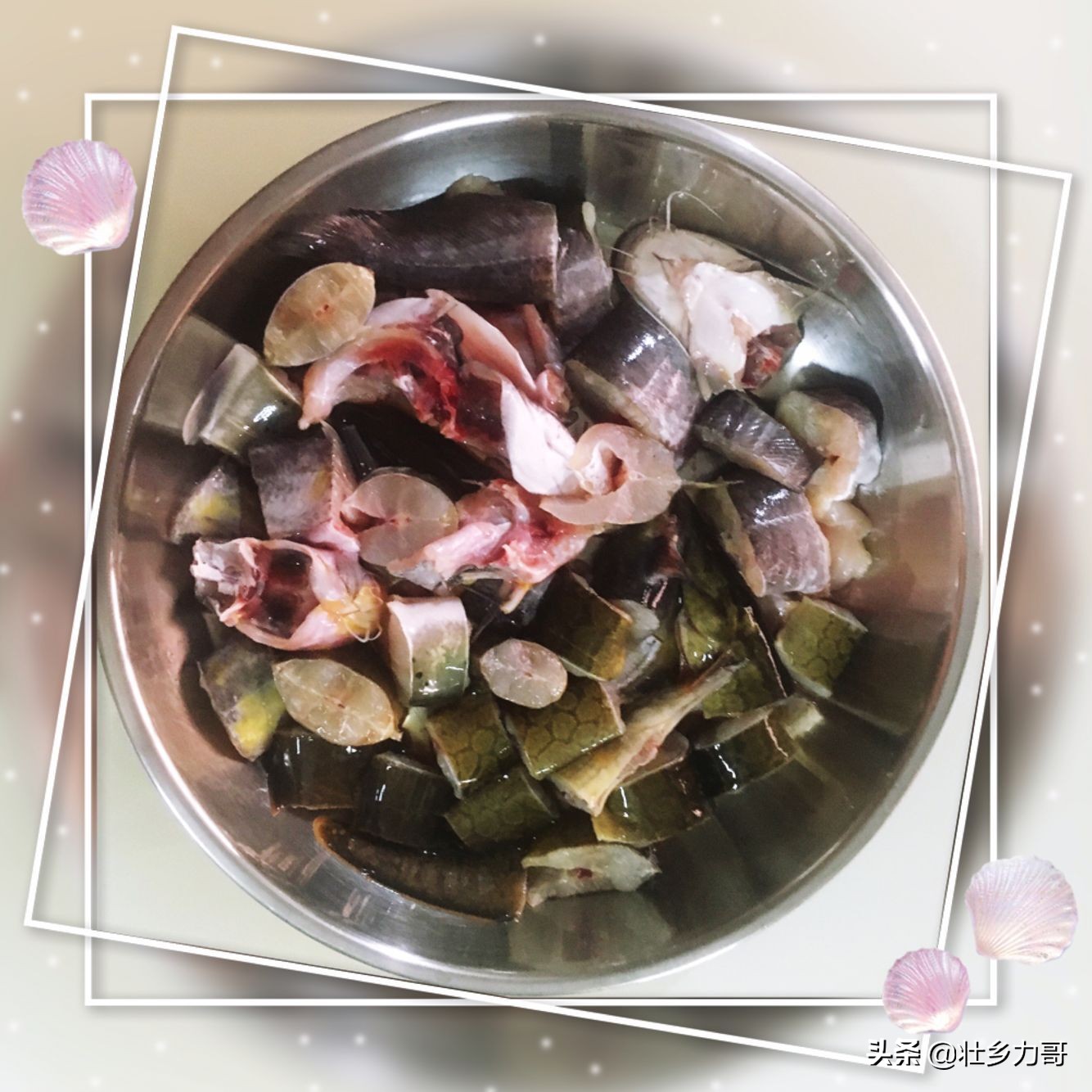 清蒸黄锥鱼的正宗做法,清蒸沙锥鱼做法