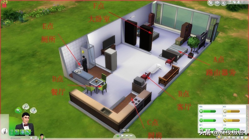 分享我的改造经历,分享我多年来的养猫经验