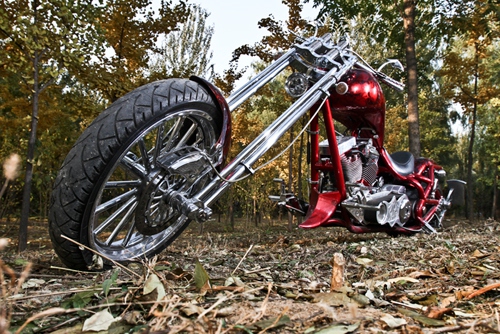 美国定制大象,美国定制大狗摩托车