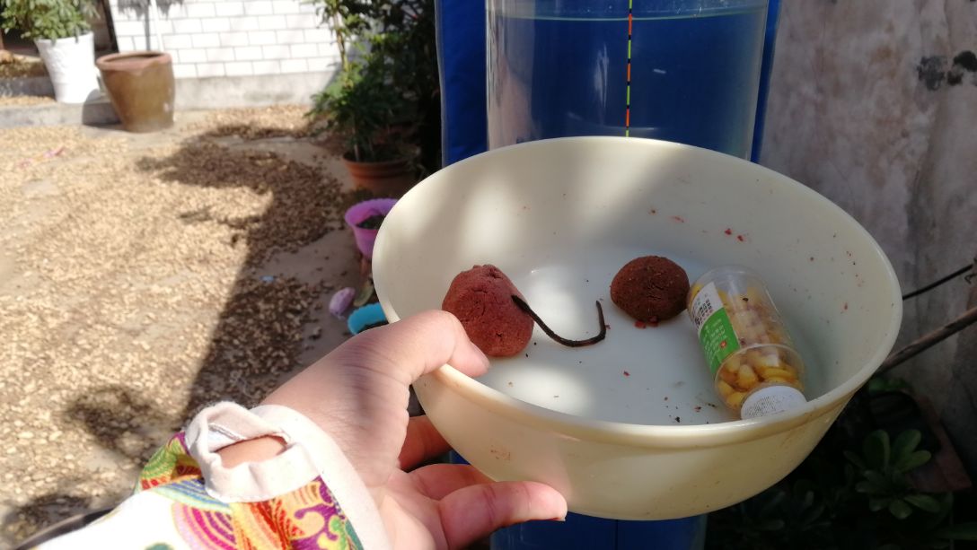 钩饵的状态和水的深浅有关系吗,如何控制钩饵在水里的状态