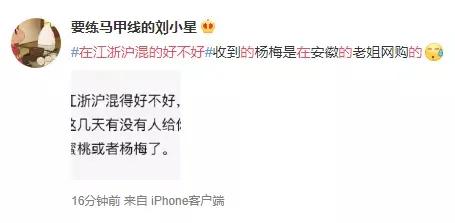 江浙沪混得好不好什么梗,江浙沪朋友混得好不好