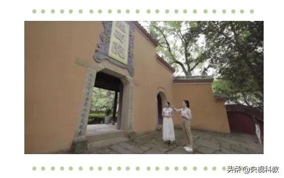 静夜思李白故乡到底在哪里,李白在写静夜思之前的人生经历