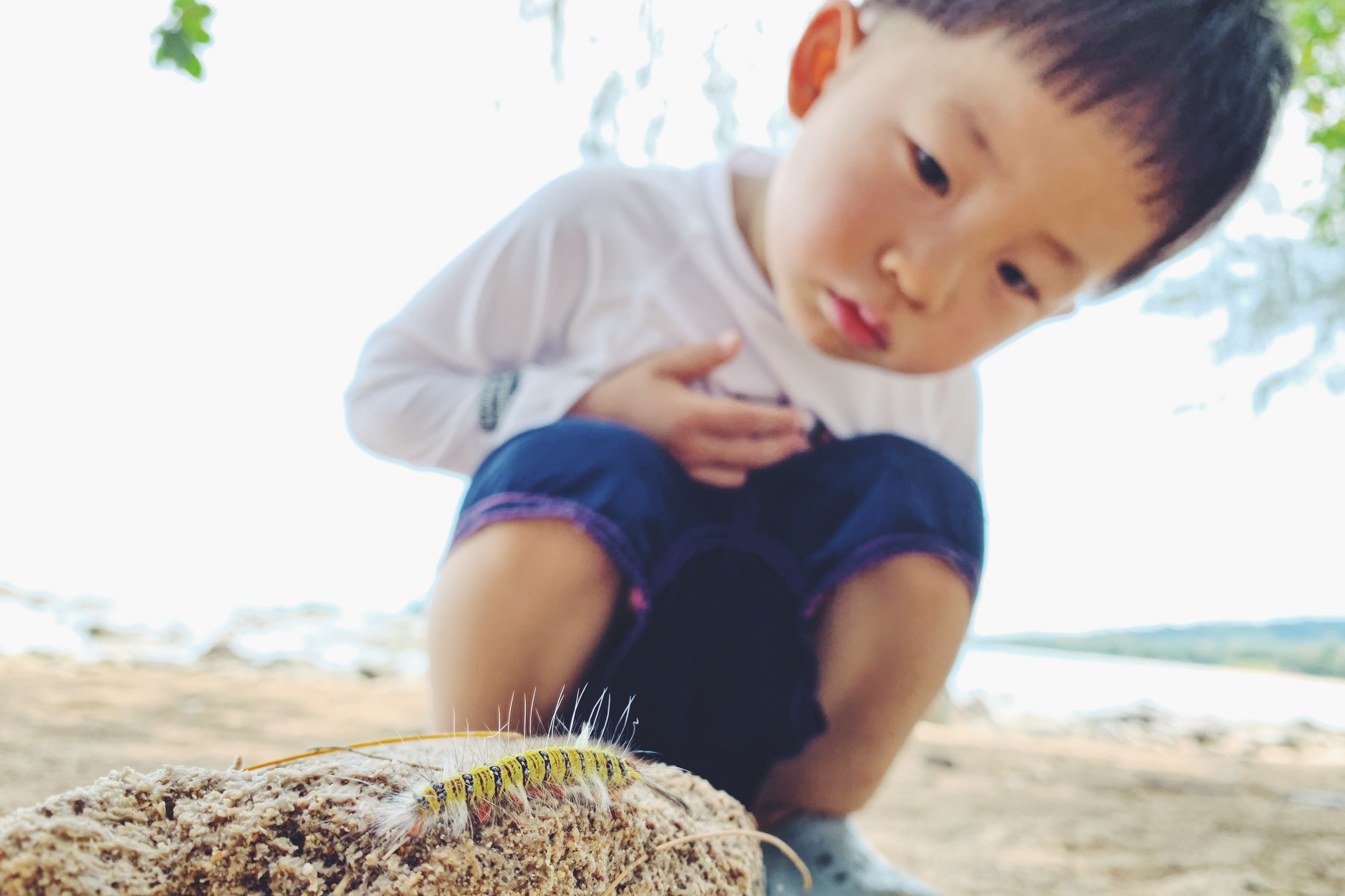 普吉岛三天旅游攻略,普吉岛怎么玩视频