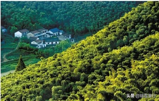 五一小长假去苏杭人多吗,五一杭州西湖人多吗