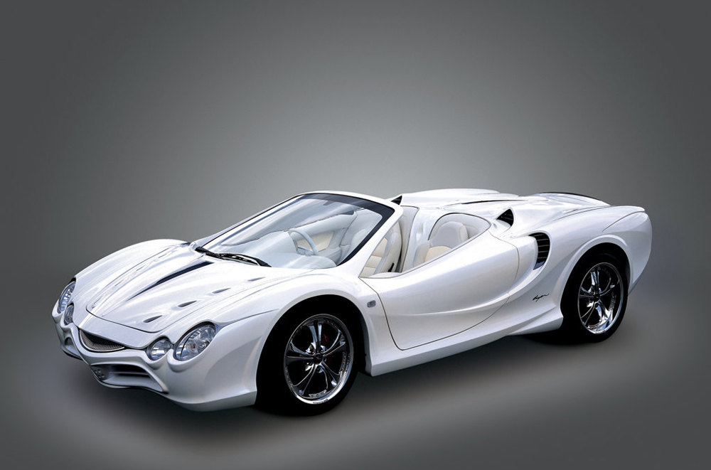 澶х嫍鐧界尗,澶х嫍鐧界尗瀹炶溅