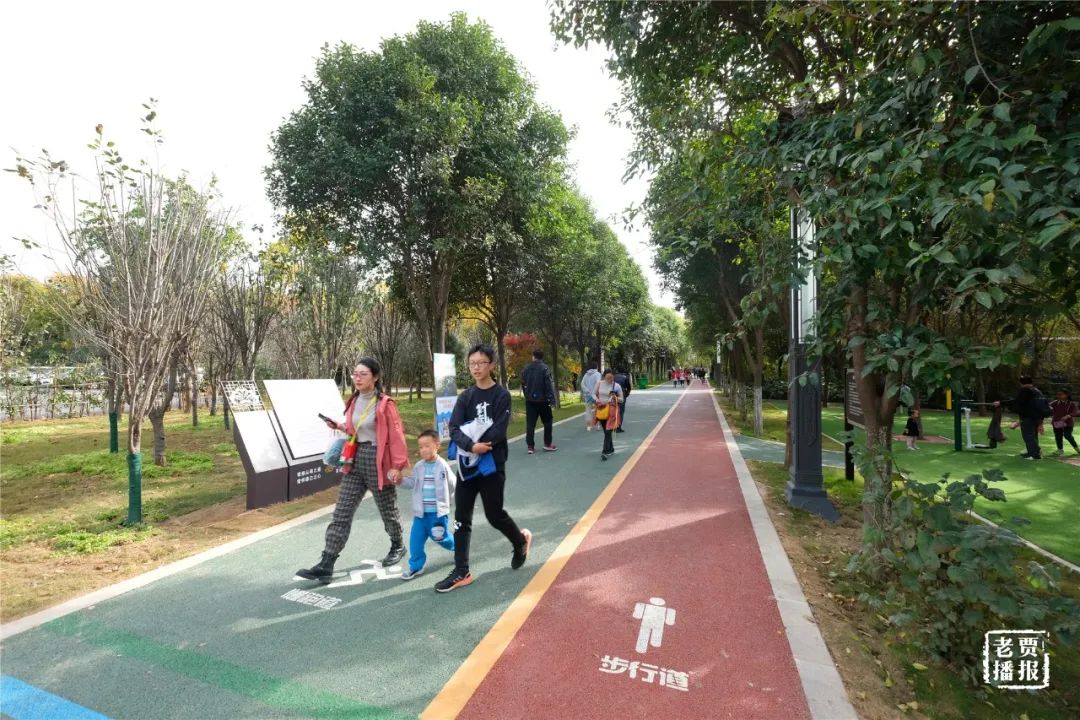 洛阳一大型网红公园免费开放,洛阳湿地公园网红打卡地