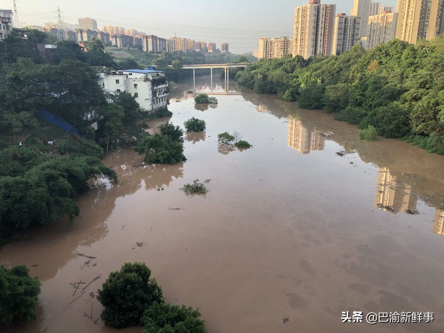重庆巴南鱼洞这条街有点怪，一边是高楼大厦，一边是旧房