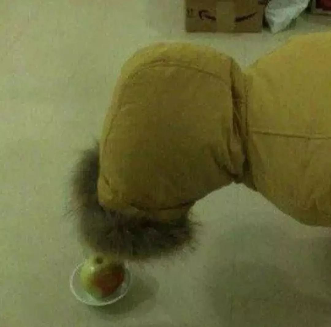 双11有剁手的一定要进来看看,在双11剁手之前有句话要告诉你