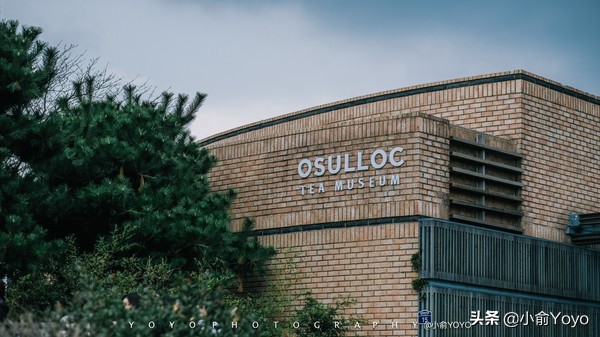 济州岛最值得去的地方,来济州岛第一天去哪玩