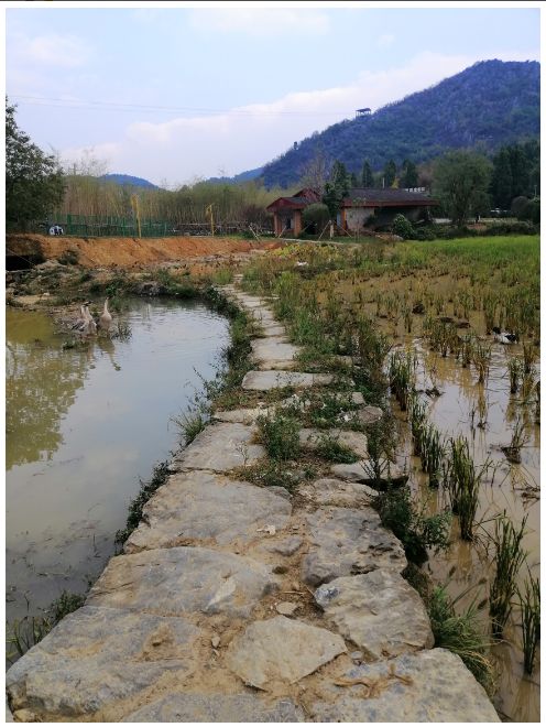 新宁苗族首领杨再兴,苗族起义领袖杨再兴