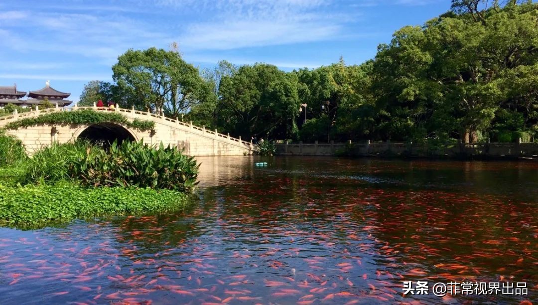 去普陀山许愿还愿,去普陀山许愿实现再怎么还愿