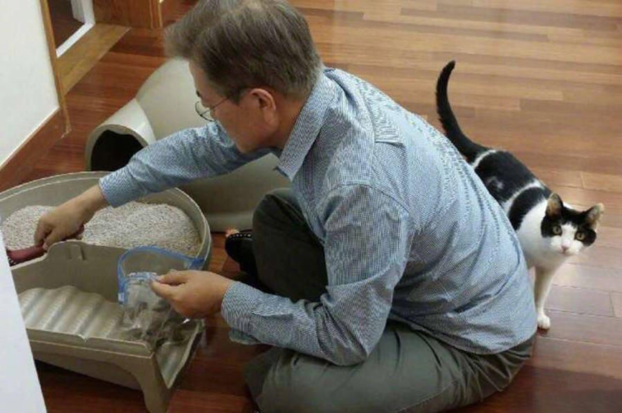 备孕期间养猫的危害,备孕期间养猫对胎儿有影响吗