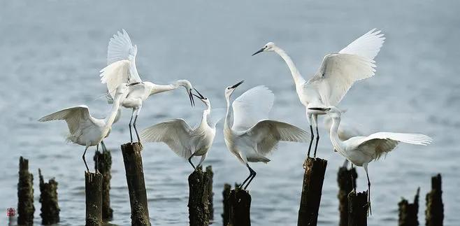 去滁州琅琊山旅游攻略,滁州白鹭岛一日游详细攻略
