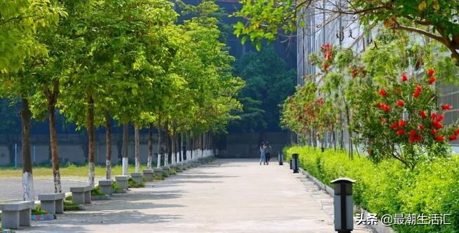 五华田家炳中学美术,五华田家炳中学简介